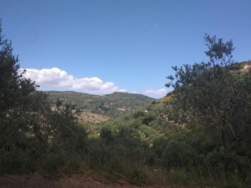 Kolymvari Im Herzen der kretischen Natur – In den Olivenbäumen Grundstück kaufen